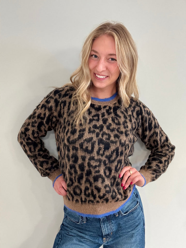 A Walk in the Wild Sweater