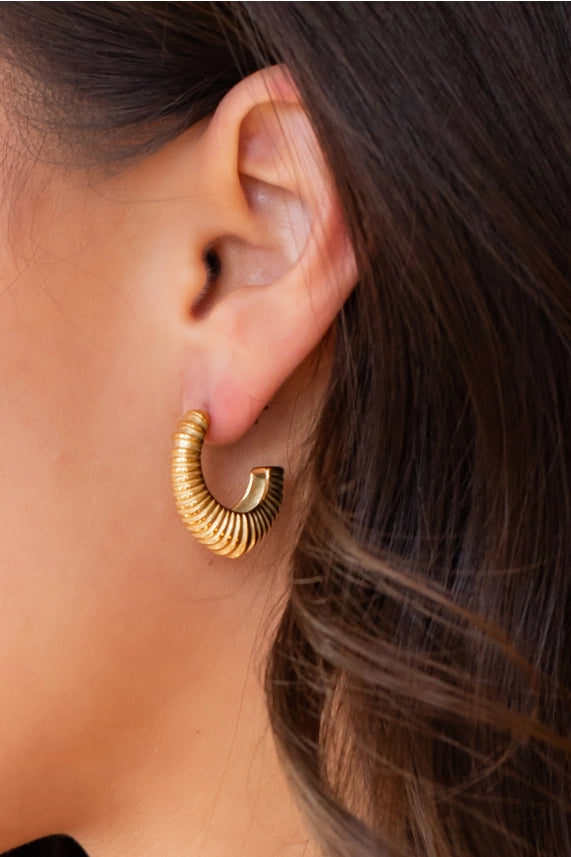 Luxe Gold Coil Hoops