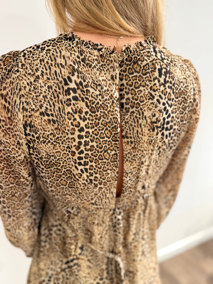 Ash Panther Laced V Neck Mini Dress