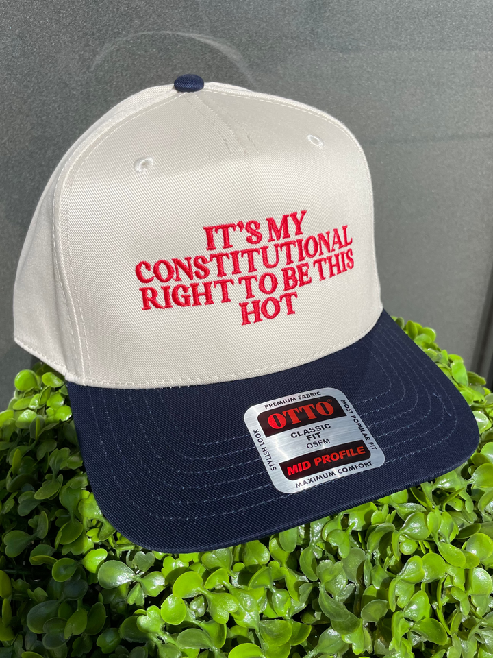 Constitutional Hotness Hat